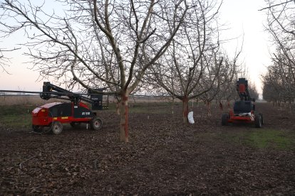 L’accident es va produir en aquesta finca a prop de la carretera del Palau d’Anglesola.