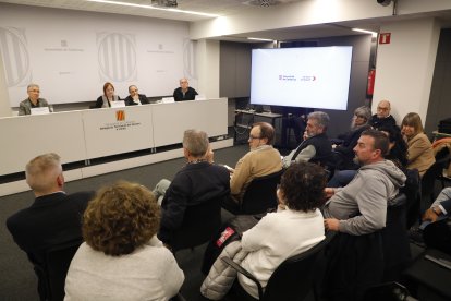 La trobada del grup de treball G10 va tenir lloc ahir a la delegació del Govern.