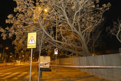 Els Bombers van abalisar ahir la zona per la caiguda d’un arbre a l’INS Ronda de Lleida.