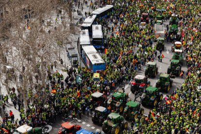 Mig miler de pagesos i agricultors catalans es van desplaçar fins a la capital, 200 de Lleida.