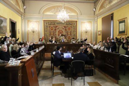 Alumnes de Secundària dels instituts Manuel de Montsuar i Joan Oró van assistir ahir al ple.