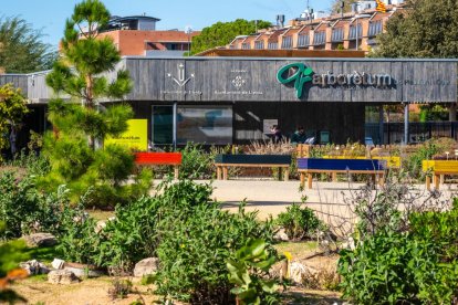 Balanç de visites de l'Arborètum