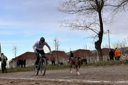 La competició de Canicròs i CaniBTT reuneix noranta persones