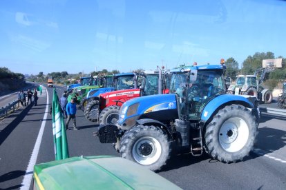 Els tractors que ahir van tallar l’AP-7 al seu pas per la localitat tarragonina de l’Ampolla.