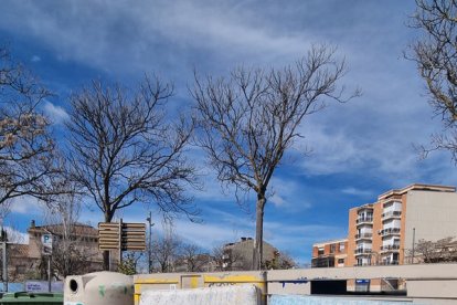 Els residus abandonats al costat de contenidors a Tàrrega.