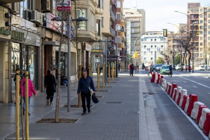 La segona i última fase de la reforma de l’avinguda acabarà aviat.