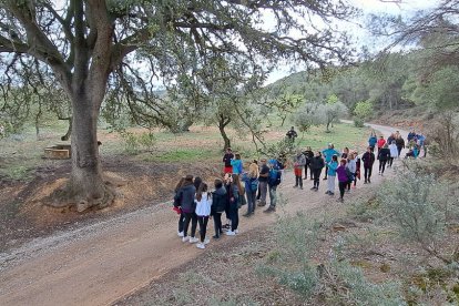 Vuitanta persones participen en una caminada a l'Albi en motiu del 8M