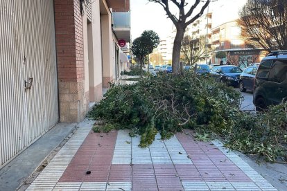 Queixes a Mollerussa per les restes de la poda a l'avinguda de la Pau