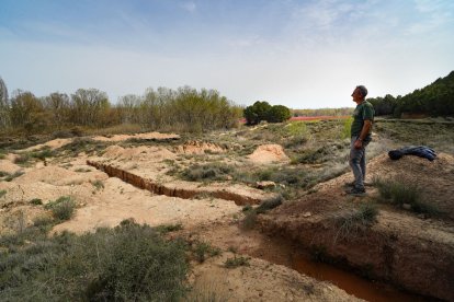 Els terrenys de l’antiga pista de motocròs que es llogaran a regants de Corbins per construir-hi una planta solar.