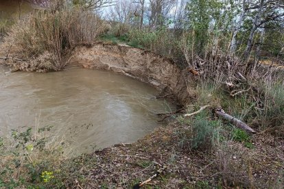 Alerta per risc d'inundació a Massalcoreig a l'erosionar-se un mur