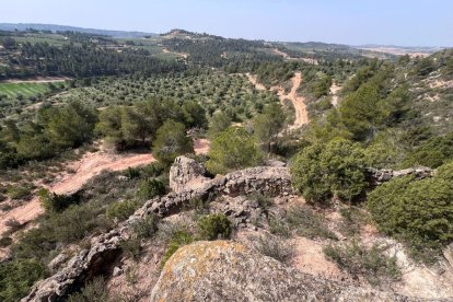 Vista de la construcció localitzada a Cervià de les Garrigues.