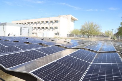 El parc solar que la UdL ha instal·lat en una antiga pista esportiva en desús del campus d’Agrònoms.