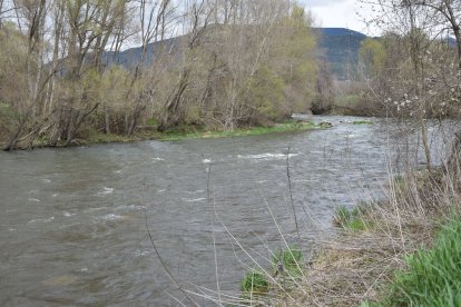 El Segre baixava aquest dissabte amb un elevat cabal a l’altura del Mesclant després de rebre la Valira.