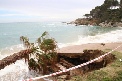 Destrosses pel temporal en una platja de Calonge.