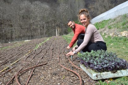 Treballadors de l’EcoResort s’encarreguen de cuidar i sembrar el planter que els dona l’associació.