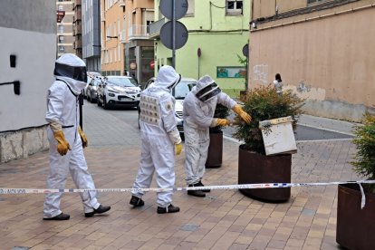 Bombers amb vestits de protecció retirant l’eixam.