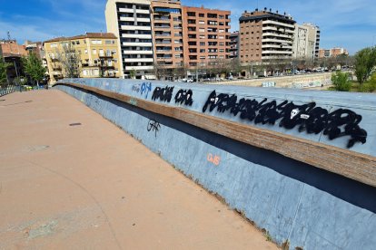 Vidrieres trencades a la passarel·la dels Maristes, pintades que es prolonguen per la dels Camps Elisis i males herbes que sobresurten del terra de la del Liceu Escolar.