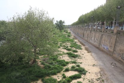 Estat en el qual es troba el marge dret de la canalització passat el pont de la Universitat.