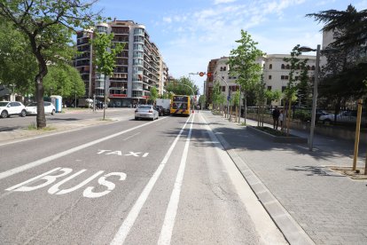 Carril reservat per a busos i taxis a l’avinguda Prat de la Riba.