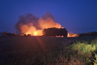 Les flames van prendre ràpidament en un canyar proper a l’estany d’Ivars i Vila-sana.