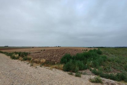 Vista de la zona on es preveu la construcció de la planta de compostatge.