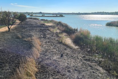 Estat en el qual va quedar aquesta zona de l’estany.