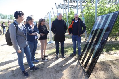 Presentació ahir de la finca agrovoltaica experimental de Mollerussa.