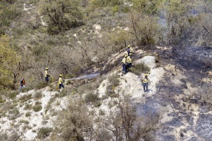 La intervenció dels Bombers va evitar que el foc s’expandís cap a Biosca.