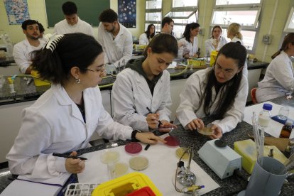 L’àmbit d’agroalimentació és un dels que capta més fons.