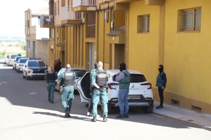 Imatge de la batuda de la Guàrdia Civil que va tenir lloc dijous a Almacelles.