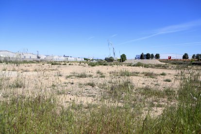 El solar que La Lleidatana ha adquirit per edificar el nou tanatori i crematori de Lleida.