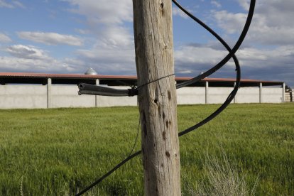 Imatge d’un cable de telefonia mòbil i internet tallat al Camí de la Mariola ahir a la tarda.