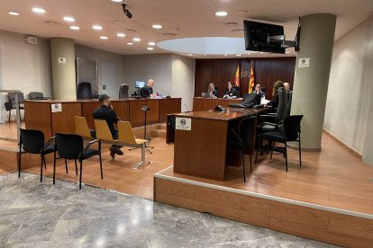 El judici es va celebrar ahir al matí a l’Audiència de Lleida.