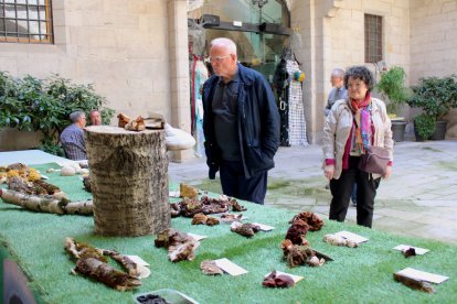 L'IEI acull la XXVI Mostra de Bolets de Primavera de Lleida