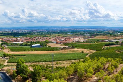 Vista d’Alpicat des del turó de la Teuleria Vella.