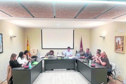 Imatge d’arxiu d’un ple a Puigverd de Lleida.