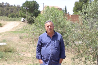 Josep Ortiz a la finca en la qual treballa i on ha instal·lat un sistema de megafonia amb altaveus per a les oliveres.