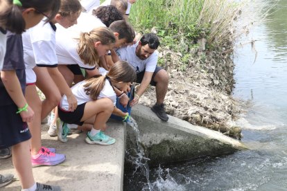 Un dels instructors ajuda un grup de voluntaris a reintroduir alguns dels alevins al riu.