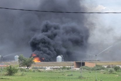 El foc minuts després d’iniciar-se.