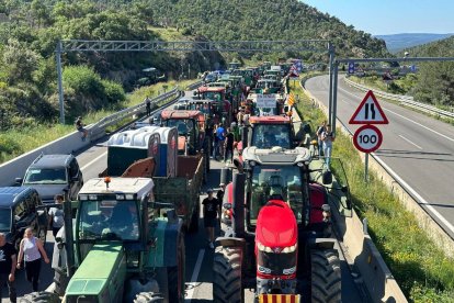 Una llarga columna de tractors tallant ahir l’AP-7 a la frontera amb França a la Jonquera.