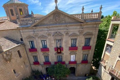 La catifa de flors d’aquest any, a la plaça del Palau de Solsona.