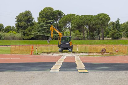 Aspecte de les obres per a la instal·lació de la nova gàbia a les Basses, amb el tartan protegit.