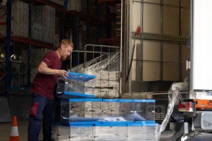 Preparació de les urnes que demà s’utilitzaran per votar als col·legis electorals.