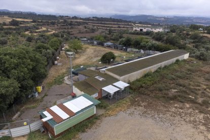 Les instal·lacions de la protectora d’animals Refugi la Segarra.