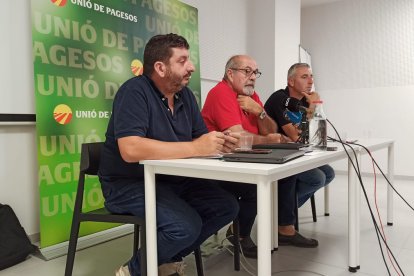 UP adverteix que “cada vegada és més difícil” trobar treballadors per a la campanya de fruita.