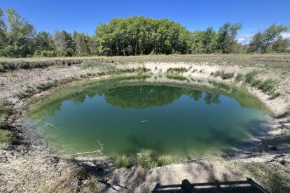 El Canal d'Urgell dona un cinquè reg al créixer les reserves per les pluges