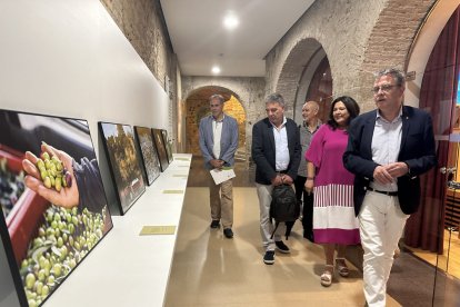 El president de la Diputació, Joan Talarn, ensenya la seu provincial als directius de l’AEMO.