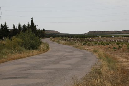 Els camins que uneixen Torres de Segre, Sunyer i Castelldans es convertiran en una carretera provincial.