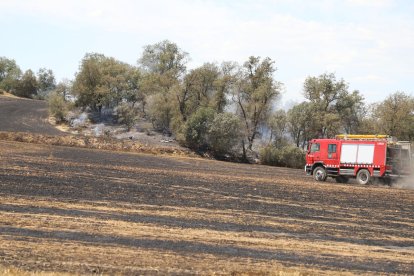 Incendi en un camp de cereal dimarts a Tudela de Segre.