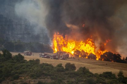 El foc de Tudela de Segre de dimarts passat i que va calcinar 11 hectàrees va ser causat per una recol·lectora.